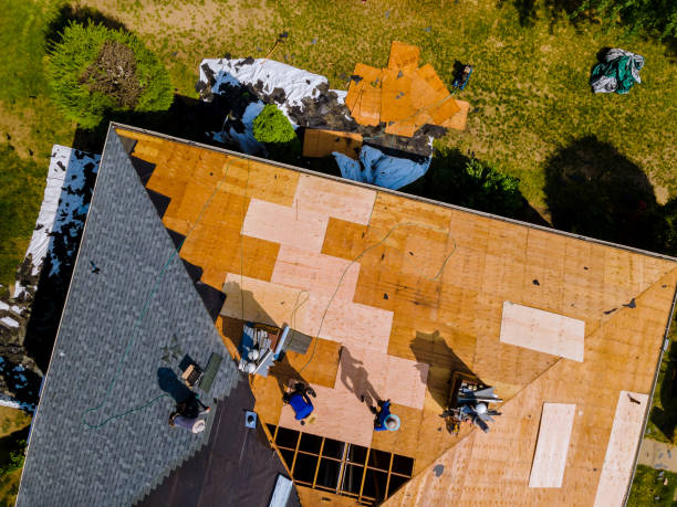 Best Roof Gutter Cleaning  in Washington Heights, NY